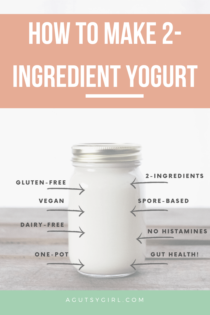 Is Yogurt Probiotic coconut yogurt recipe from The Leaky Gut Meal Plan agutsygirl.com #coconut #yogurt Leaky Gut #dairyfree #probiotics