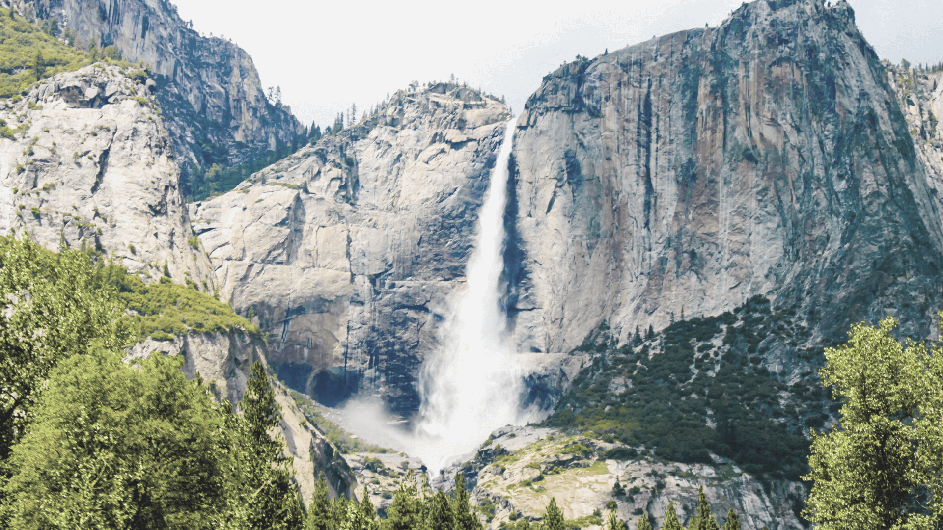 Top 5 Reasons to go to Yosemite National Park