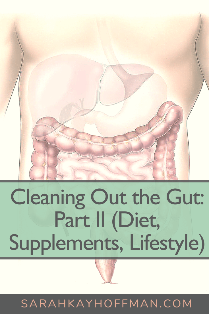 Cleaning Out the Gut Part II Diet, Supplements, Lifestyle www.sarahkayhoffman.com #guthealth #healthyliving #ibs #ibd