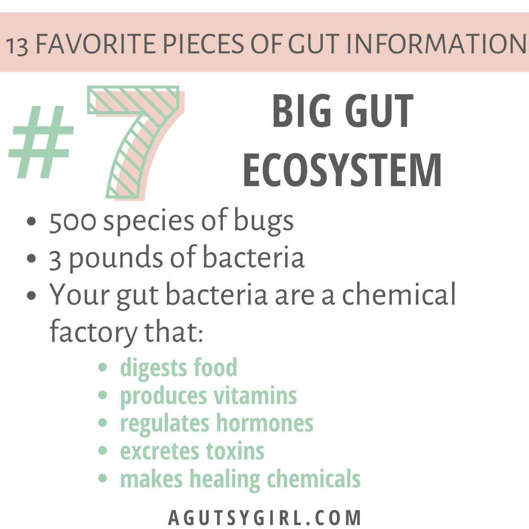 13 Favorite Pieces of Gut Information via agutsygirl.com seven #guthealth #microbiome