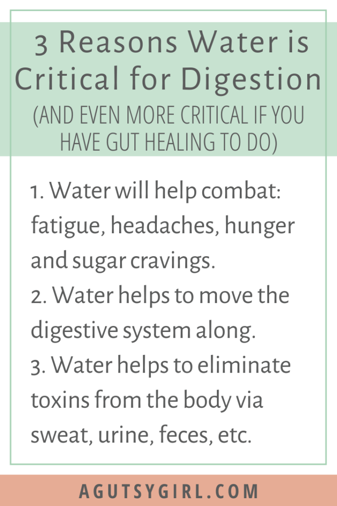 Benefits of Water for Digestion A Gutsy Girl®