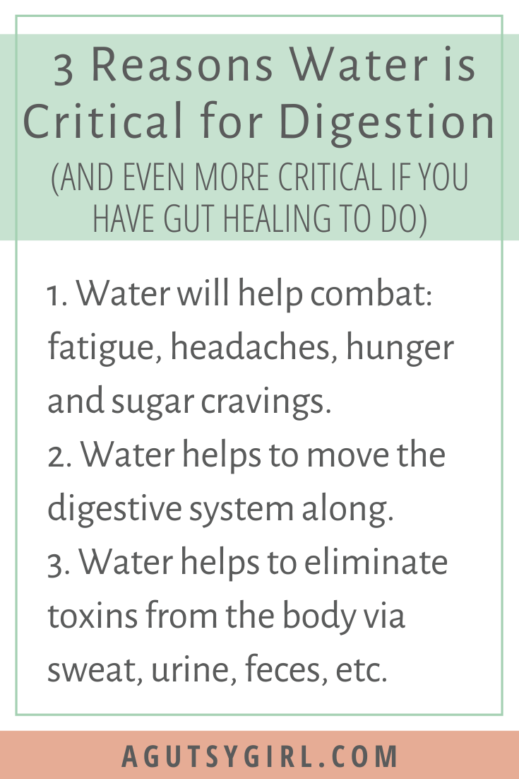Benefits of Water for Digestion agutsygirl.com #digestion #water #healthyliving #guthealth 3 reasons