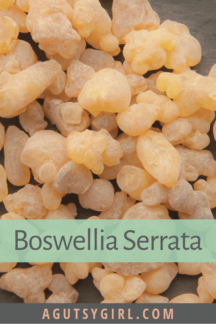 Boswellia Serrata Benefits herbs gut health agutsygirl.com #colitis #guthealth #healthyliving