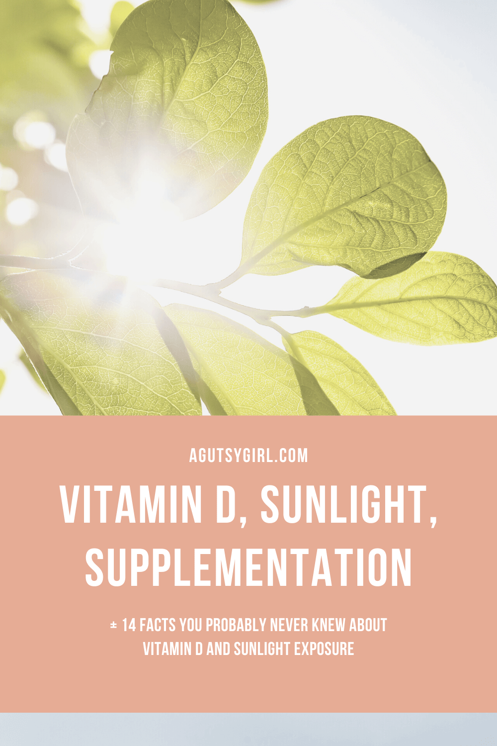 download sunlight vitamin d