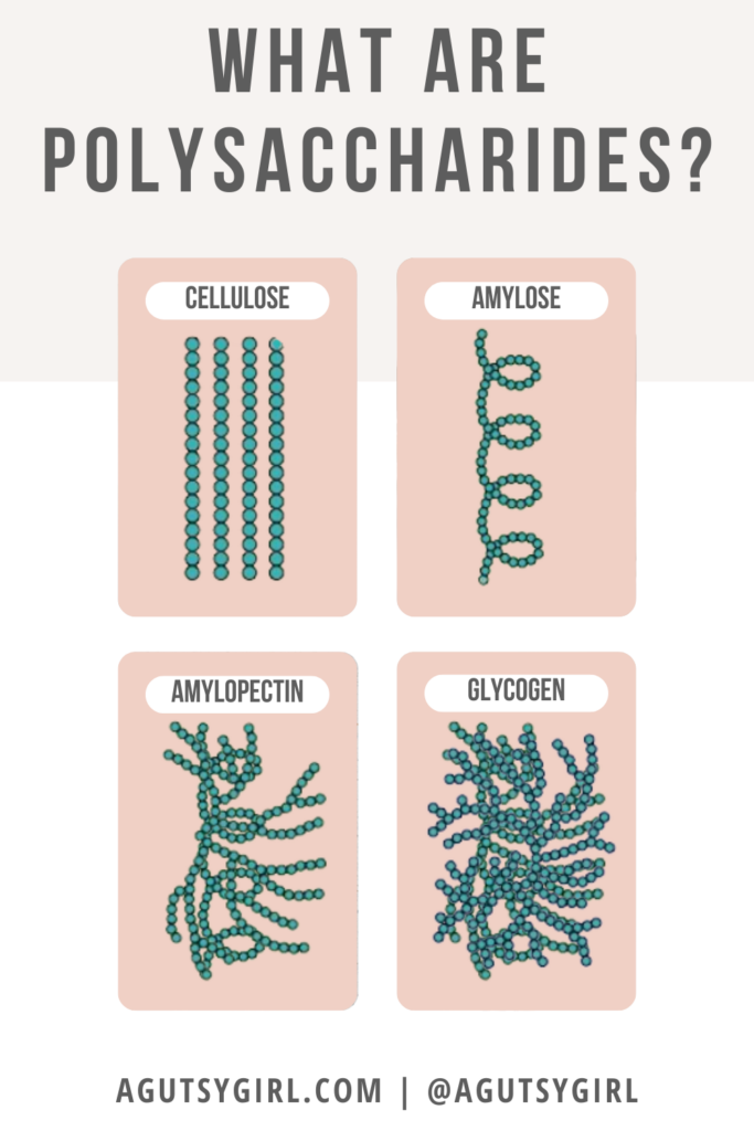 What are Polysaccharides vs Monosaccharides agutsygirl.com #polysaccharide