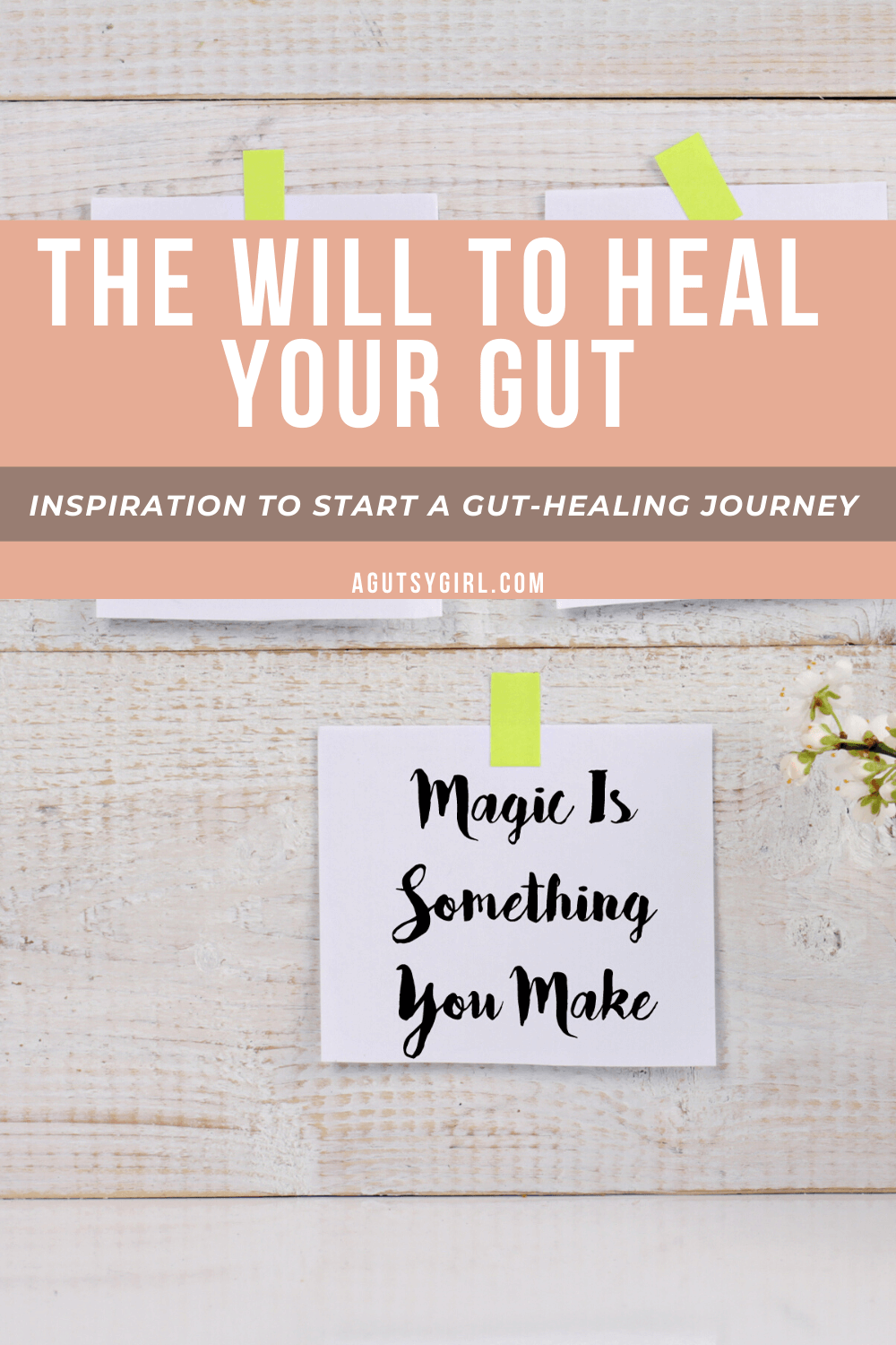 The Will to Heal Your Gut agutsygirl.com #inspiration #guthealth #gut