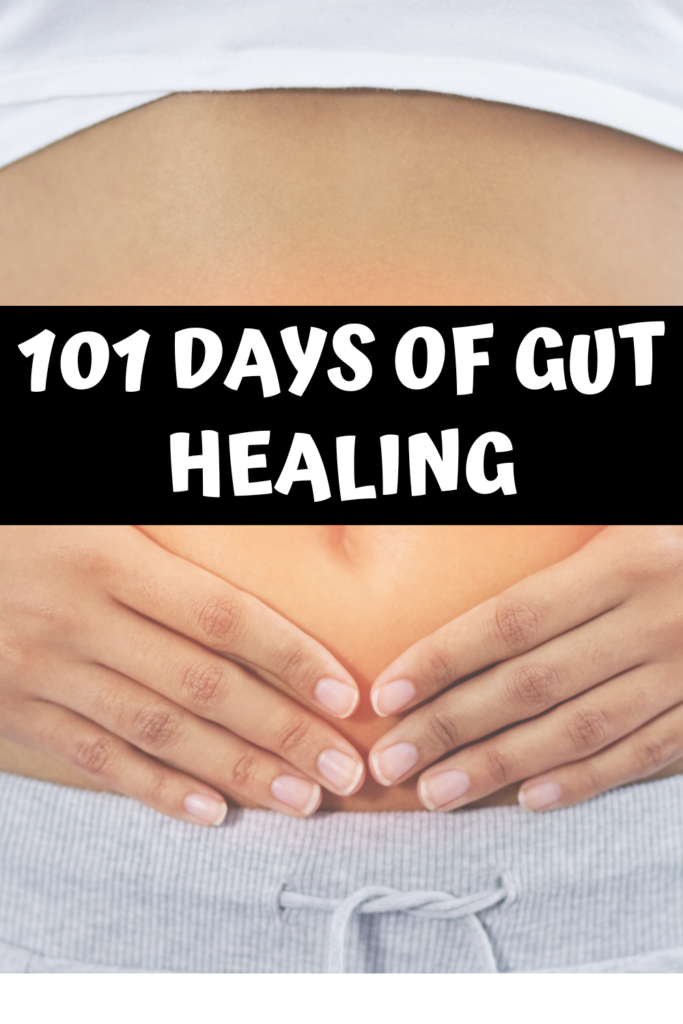 101 days of gut healing agutsygirl.com