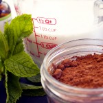 mint-chocolate pops. minimal ingredients. #dairyfree #grainfree #glutenfree www.agutsygirl.com