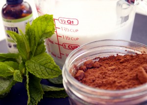 mint-chocolate pops. minimal ingredients. #dairyfree #grainfree #glutenfree www.agutsygirl.com