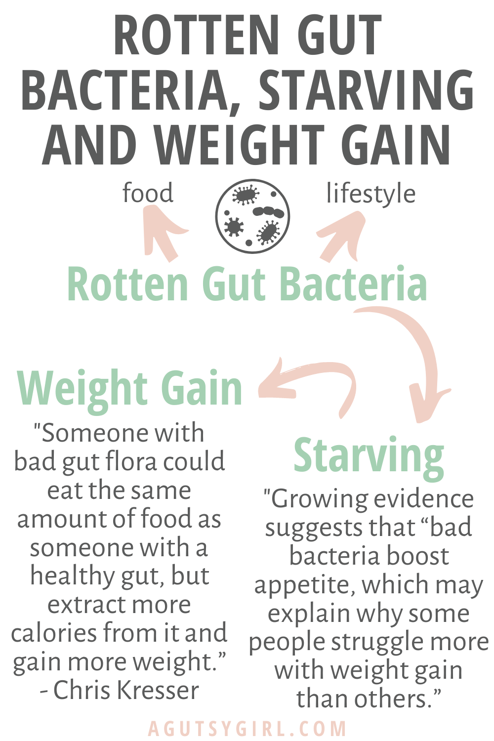 Rotten Gut Bacteria, Starving, and Weight Gain agutsygirl.com gut health #guthealth #weightgain #gutbacteria #IBS lifestyle