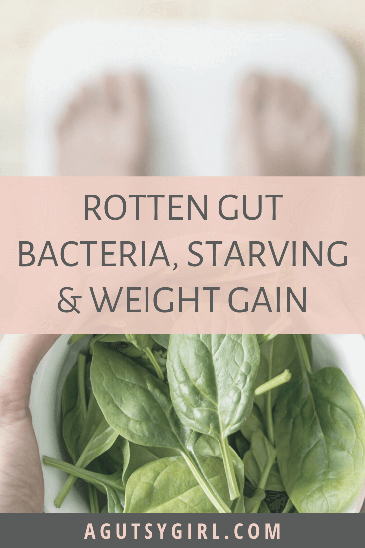 Rotten Gut Bacteria, Starving, and Weight Gain agutsygirl.com gut health #guthealth #weightgain #gutbacteria #IBS