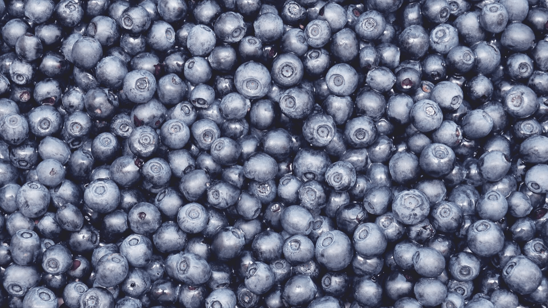 Blueberry Smoothie Recipe {Low FODMAP Berry-licious Hemp}