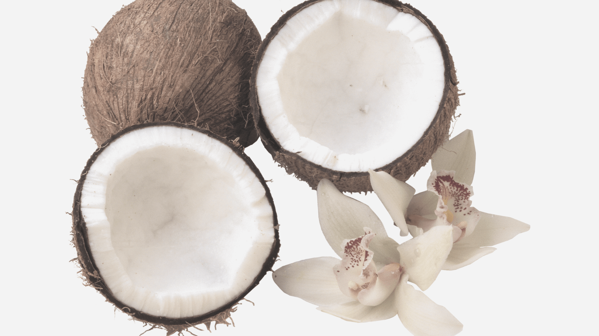 Best Organic Coconut Milk {Top 3 Brands in 2023}