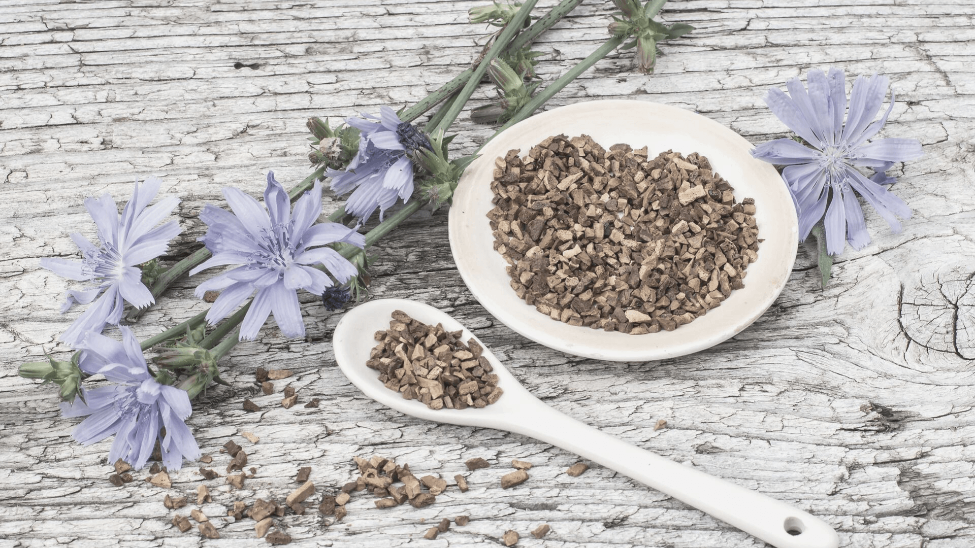 What is Chicory Root