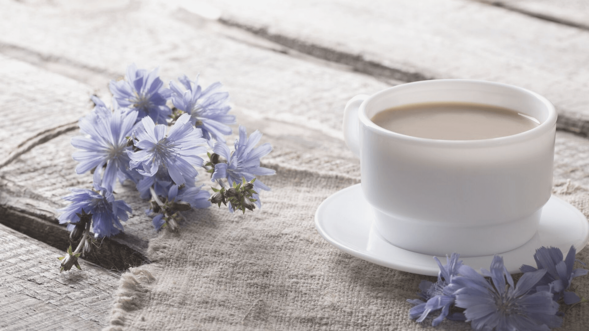 Habits, Coffee Cups, Healing