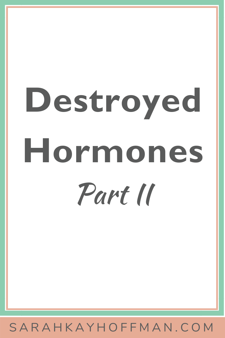 Destroyed Hormones Part II www.sarahkayhoffman.com #hormones #hormonehealth #healthyliving #lifestyleblogger