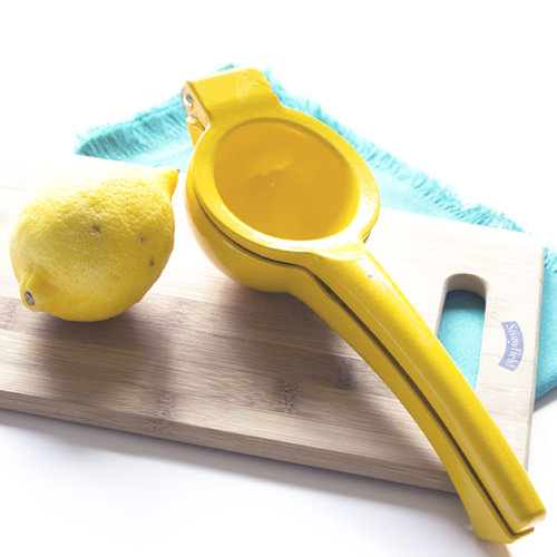 Make Your Own Lemonade Lemon Squeezer sarahkayhoffman.com