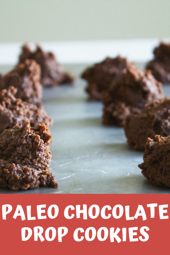 Paleo Chocolate Drop Cookies with A Gutsy Girl agutsygirl.com