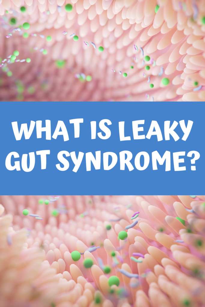 What is Leaky Gut Syndrome agutsygirl.com