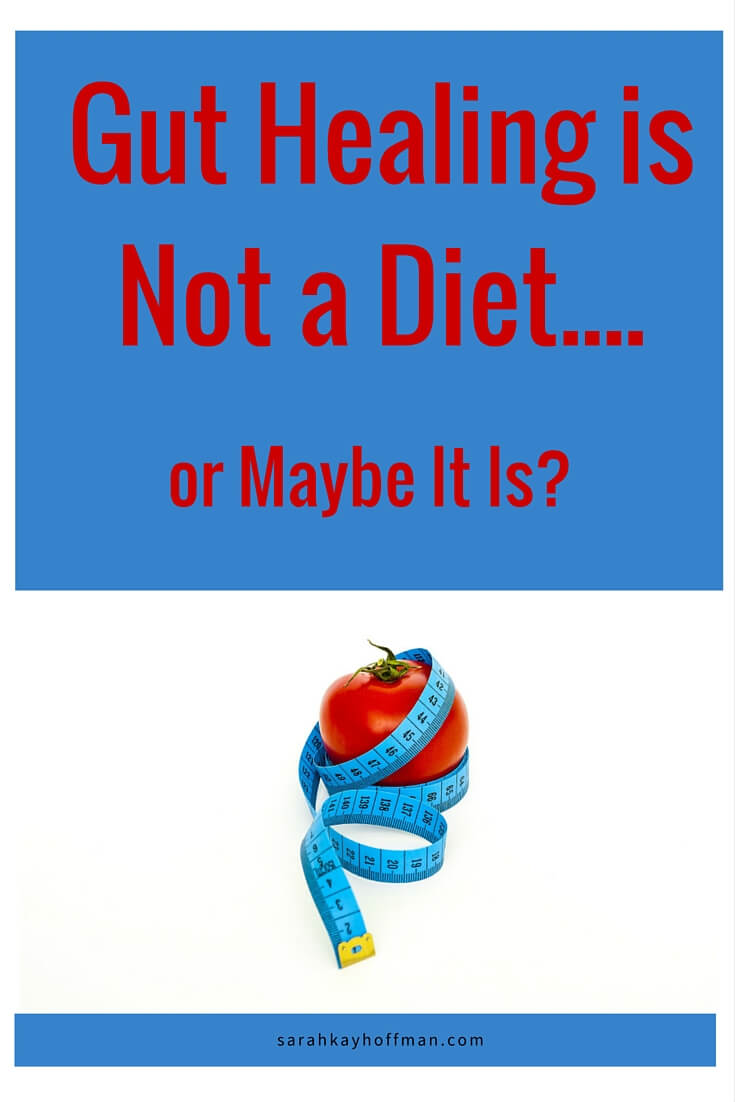 Gut Healing is Not a Diet...or Maybe It Is? sarahkayhoffman.com