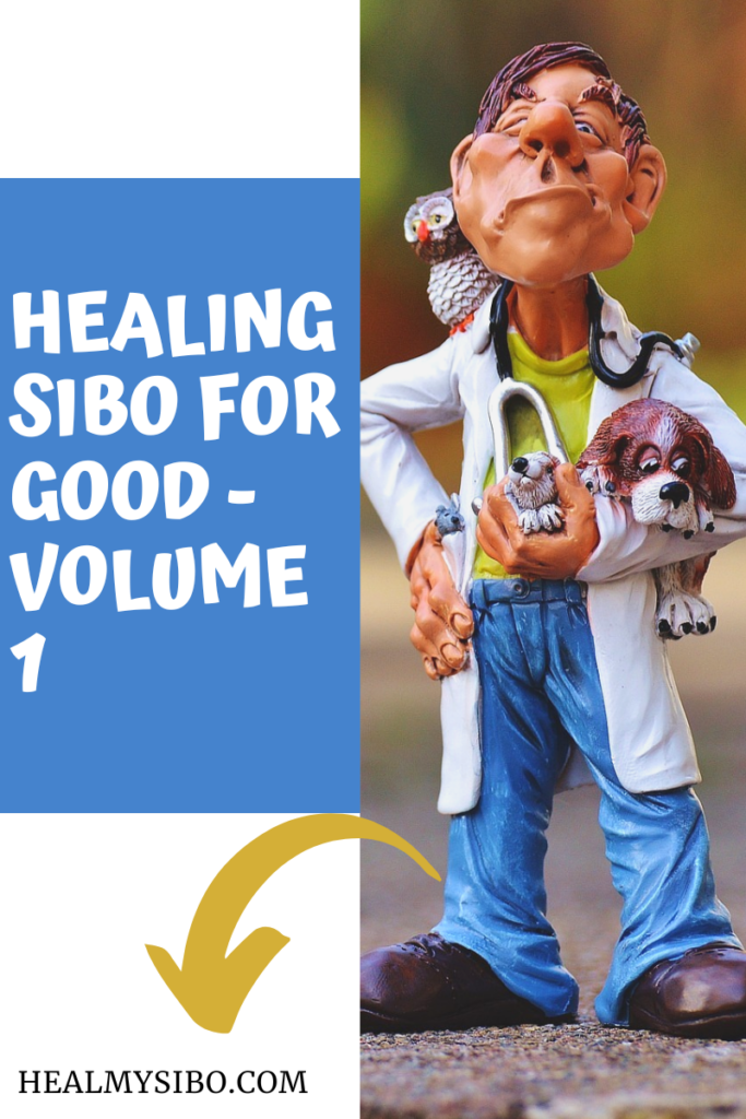 Healing SIBO for Good Volume 1 healmysibo.com