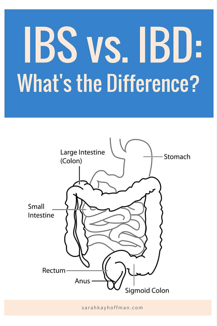 What's the difference agutsygirl #IBS #IBD #guthealth