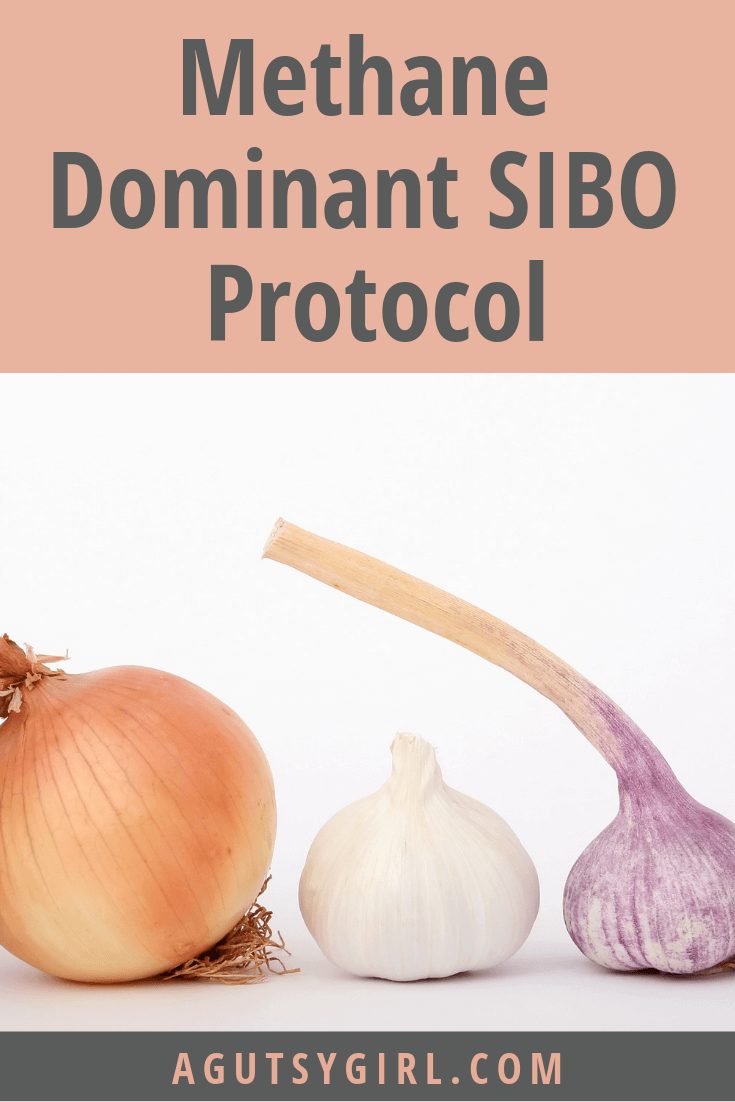 Methane Dominant SIBO Protocol agutsygirl.com #sibo #guthealth #guthealing