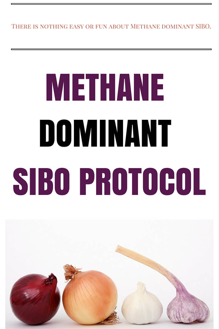 Methane Dominant SIBO Protocol sarahkayhoffman.com
