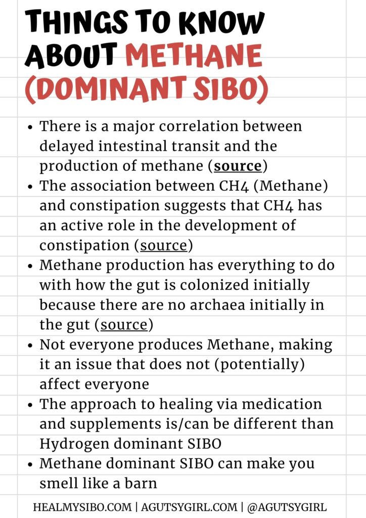 Things to know about methane dominant SIBO A Gutsy Girl agutsygirl.com