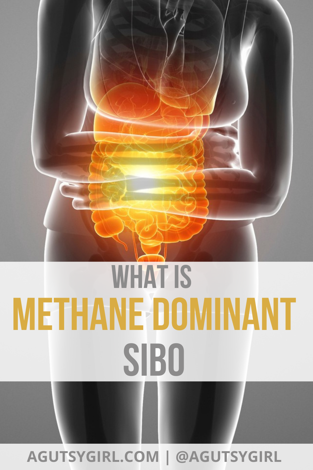 What is Methane Dominant SIBO agutsygirl.com #sibo #ibs #guthealth