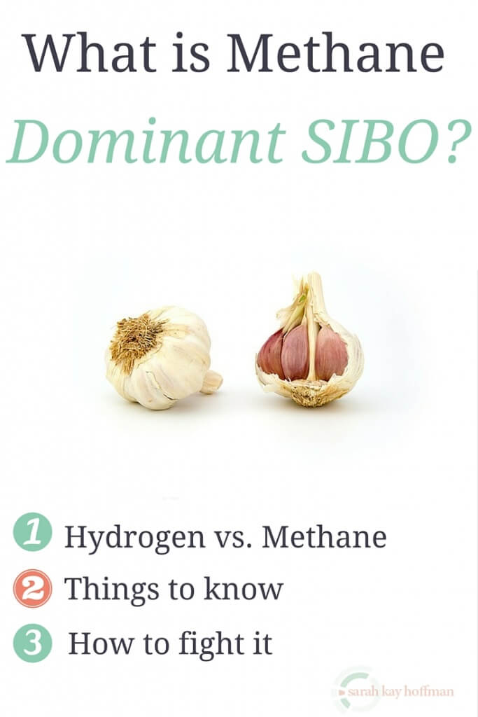 What is Methane Dominant SIBO agutsygirl.com