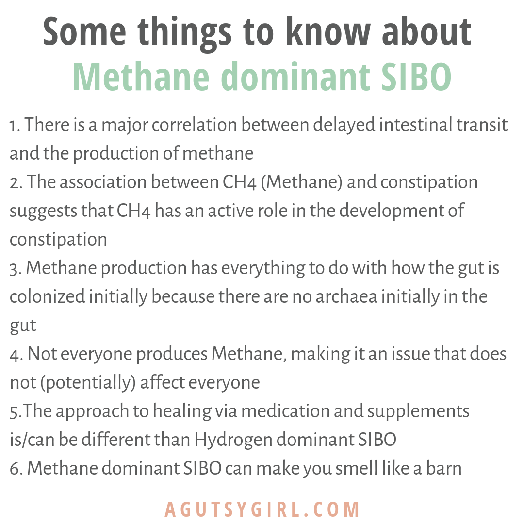 What is Methane Dominant SIBO some things to know agutsygirl.com #SIBO #lowfodmap #guthealth #methane