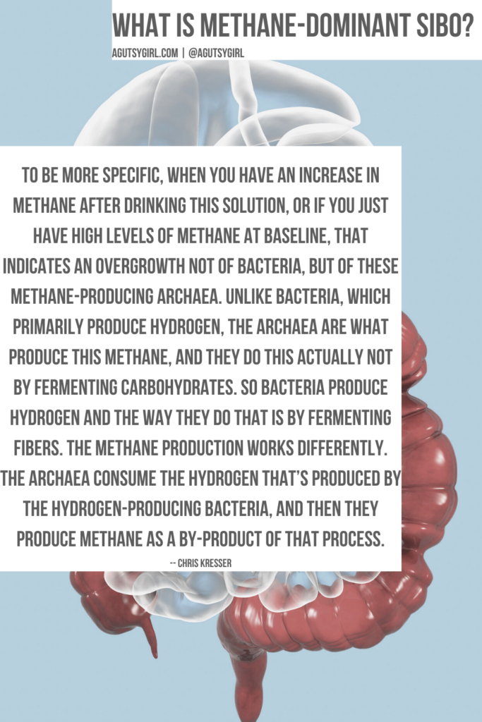 What is methane dominant SIBO Kresser quote agutsygirl.com #methanesibo #SIBO