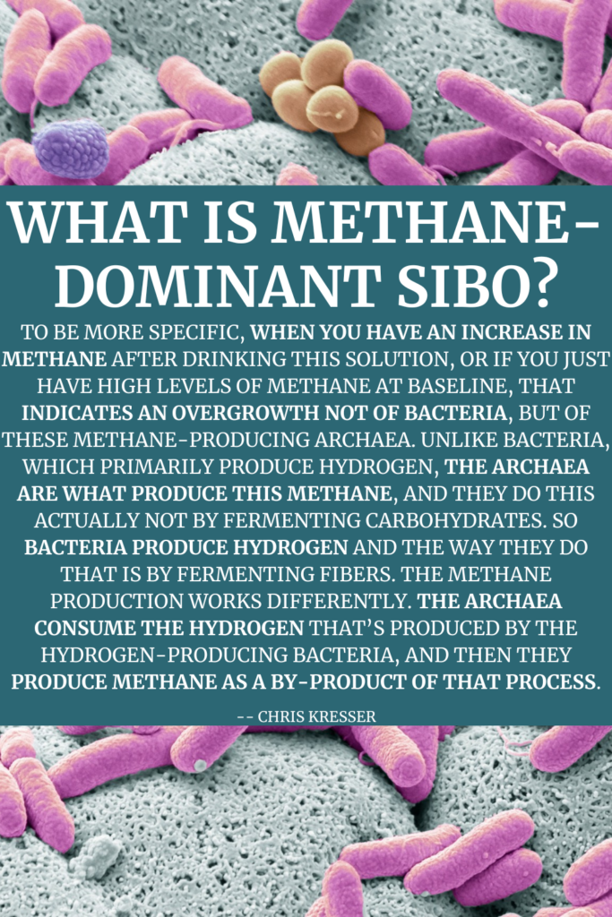 What is methane dominant SIBO Kresser quote agutsygirl.com