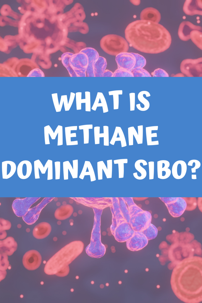 What is methane dominant SIBO agutsygirl.com