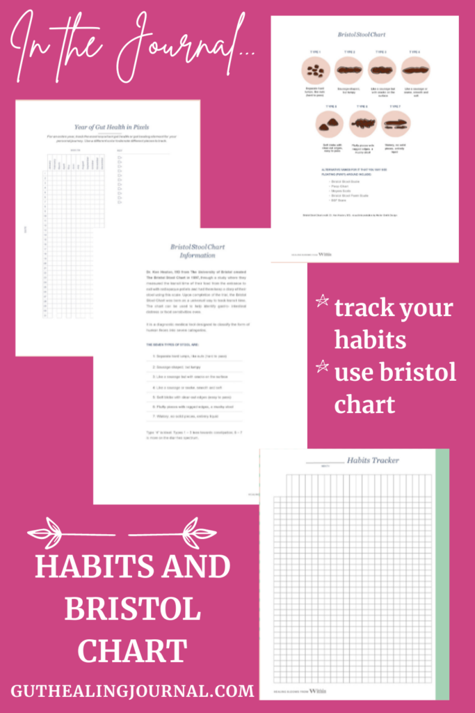 habits and bristol stool chart healing blooms from within journal guthealingjournal.com #foodjournal