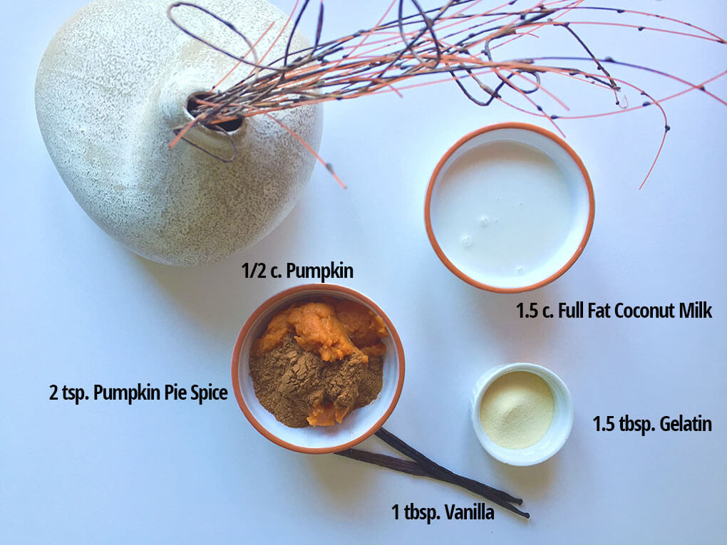 Pumpkin Pie Pudding sarahkayhoffman.com Ingredients Dairy Free