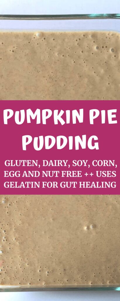 Pumpkin Pie Pudding with gelatin for gut healing agutsygirl.com