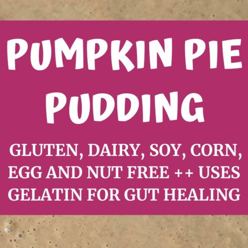 Pumpkin Pie Pudding with gelatin for gut healing agutsygirl.com