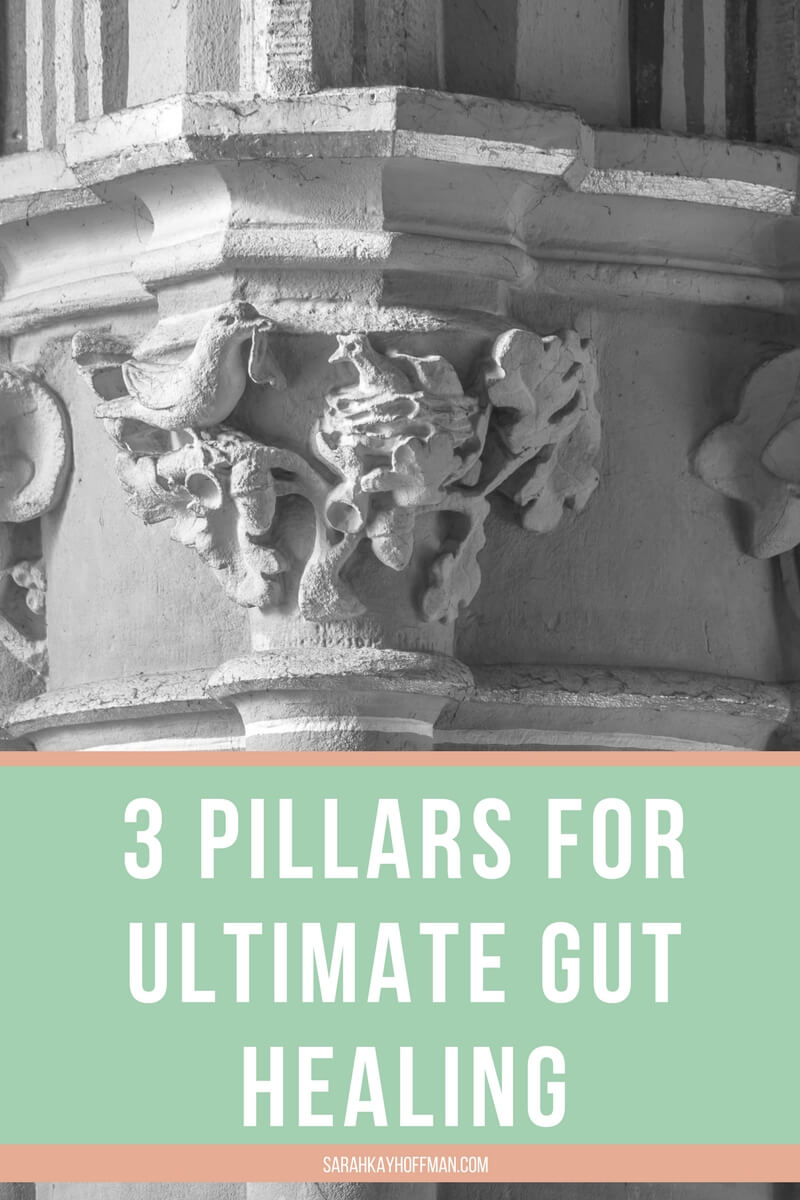 3 Pillars for Ultimate Gut Healing sarahkayhoffman.com