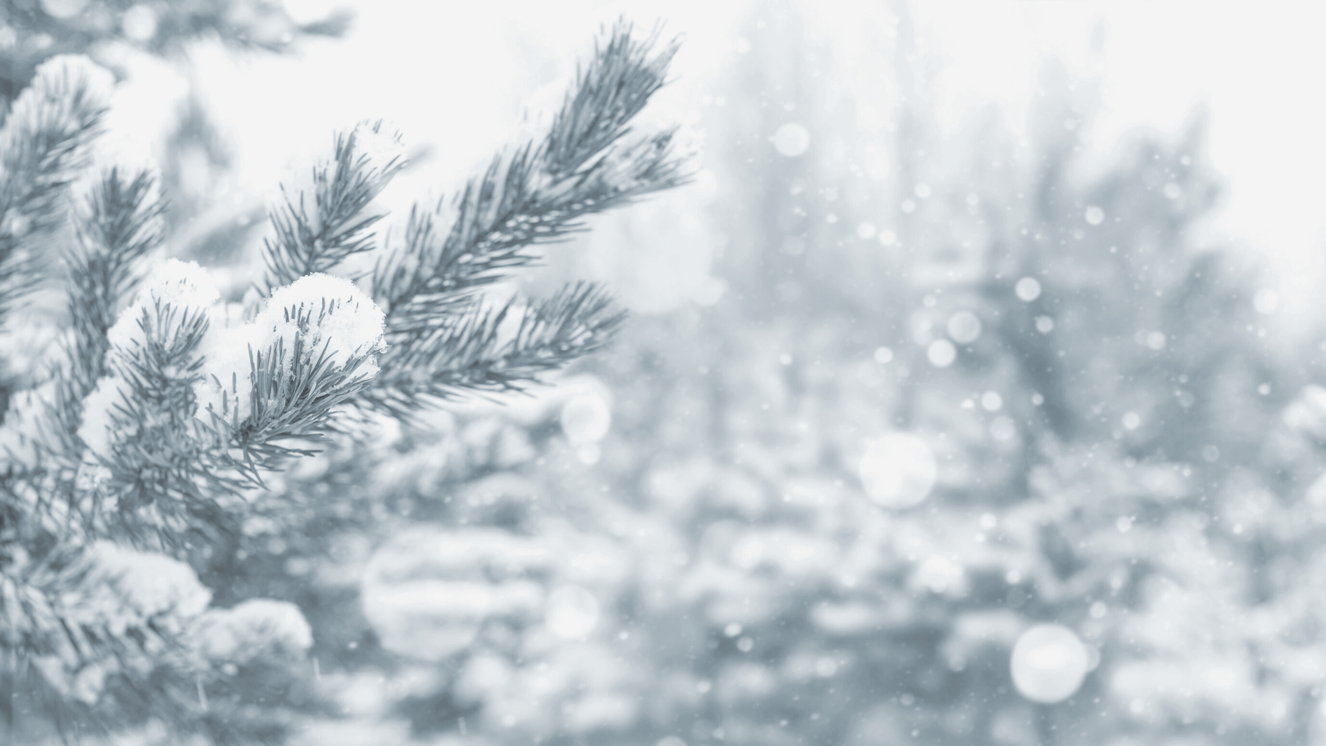 9 Ways to Embrace Winter
