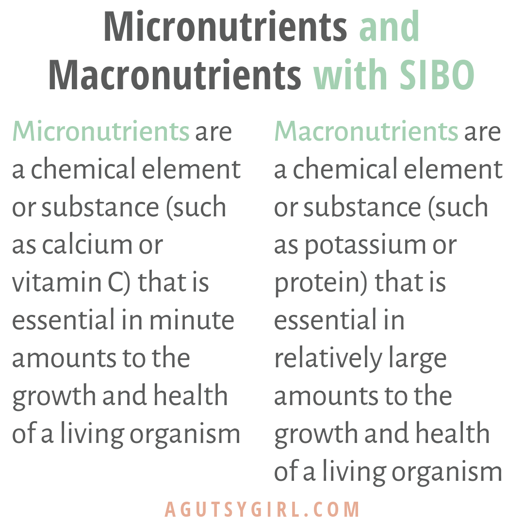 Micronutrients and Macronutrients with SIBO gut healing health agutsygirl.com #micronutrients #macronutrients #sibo #IBS
