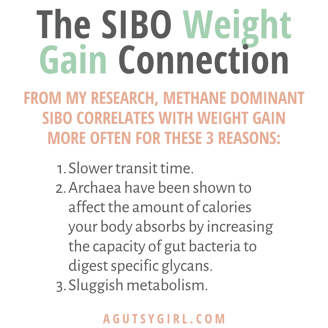 The SIBO Weight Gain Connection agutsygirl.com #sibo #ibs #weight
