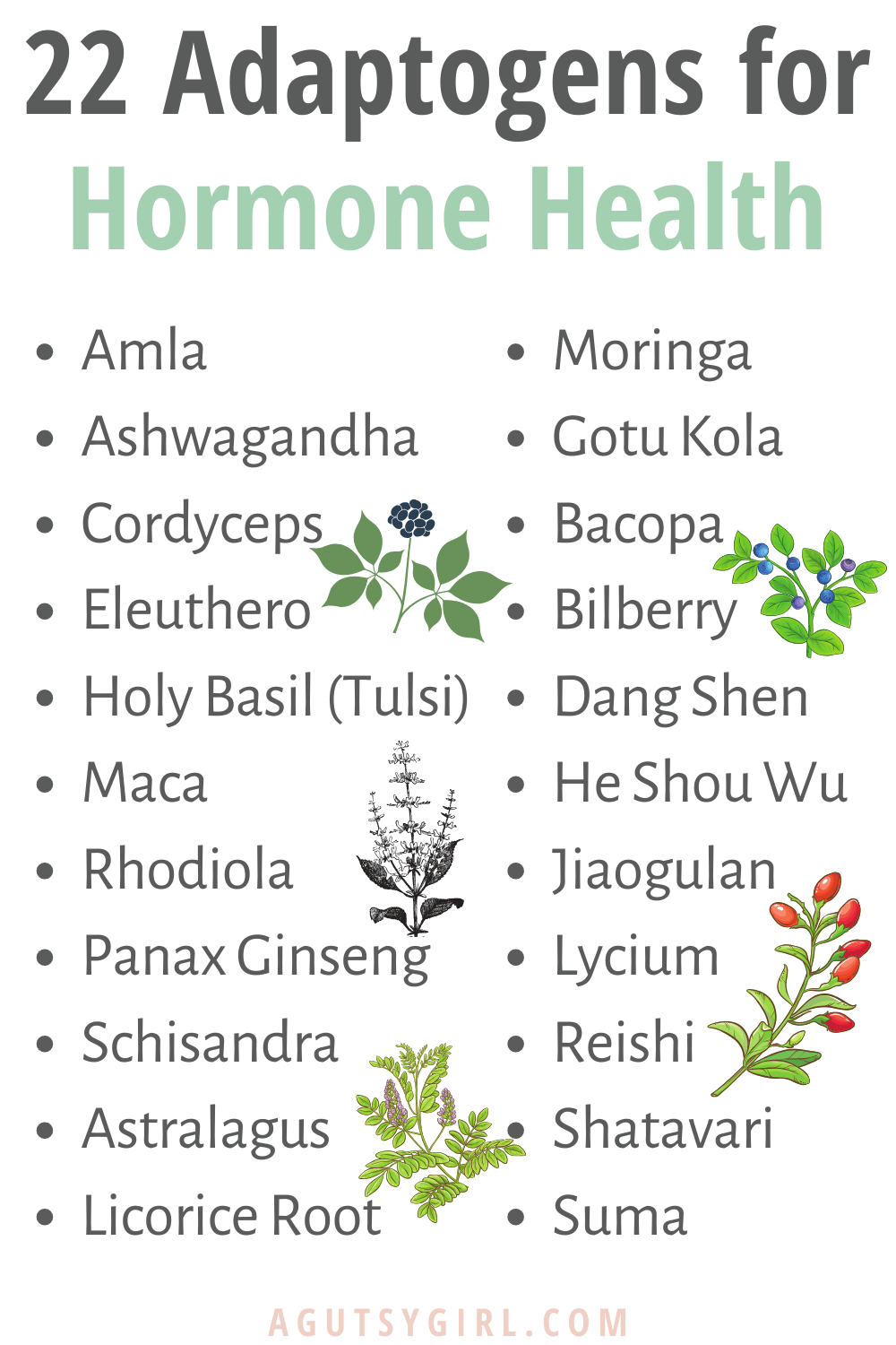 22 Adaptogens for Hormone Health agutsygirl.com #hormones #hormone #adaptogen