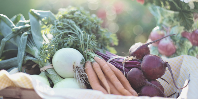 Flirting Vegetarian agutsygirl.com Vegan #guthealth #vegetarian #healthyliving #vegetarianrecipe