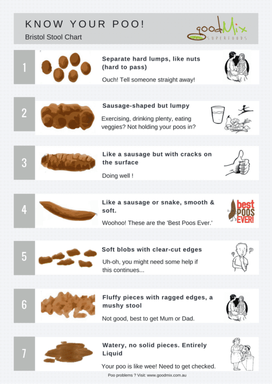 Bristol Stool Chart Printable - A Gutsy Girl®