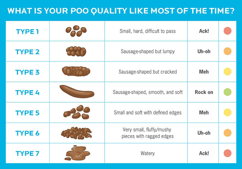 Bristol Stool Chart: The 7 Different Types of Poop - GoodRx