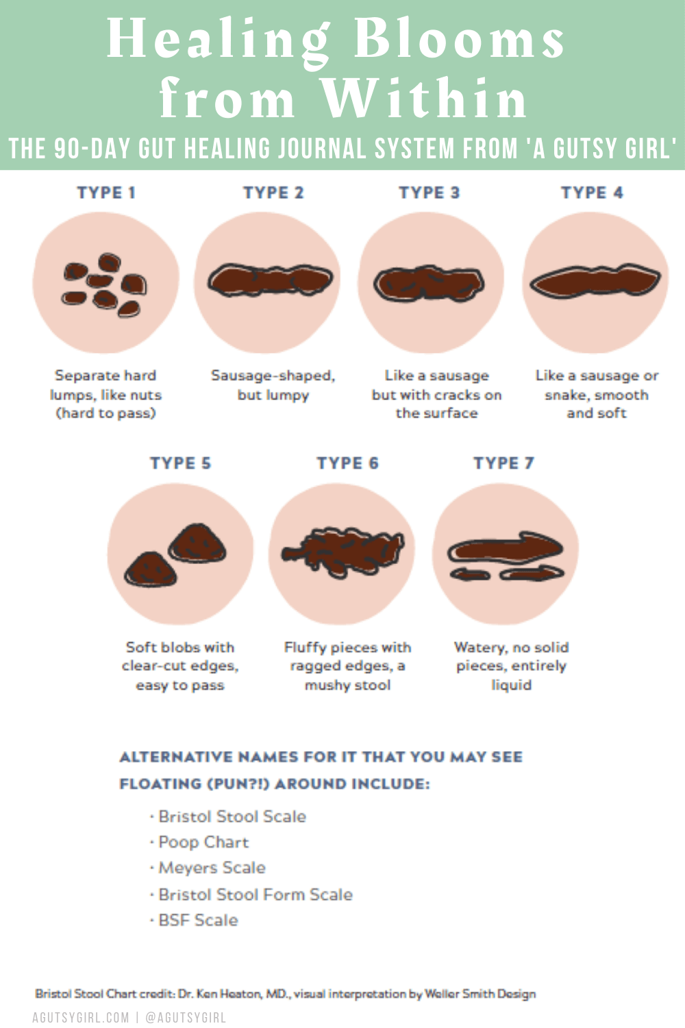 Bristol Stool Chart agutsygirl.com #guthealth #bristolstoolchart #guthealing #ibs