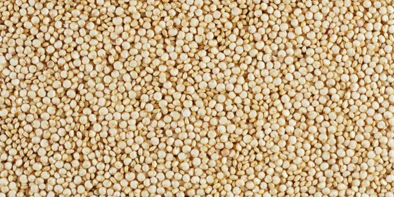 6 Low FODMAP Complete Proteins for Vegetarians and Vegans agutsygirl.com quinoa #vegetarian #vegan #sibo #guthealth #grains