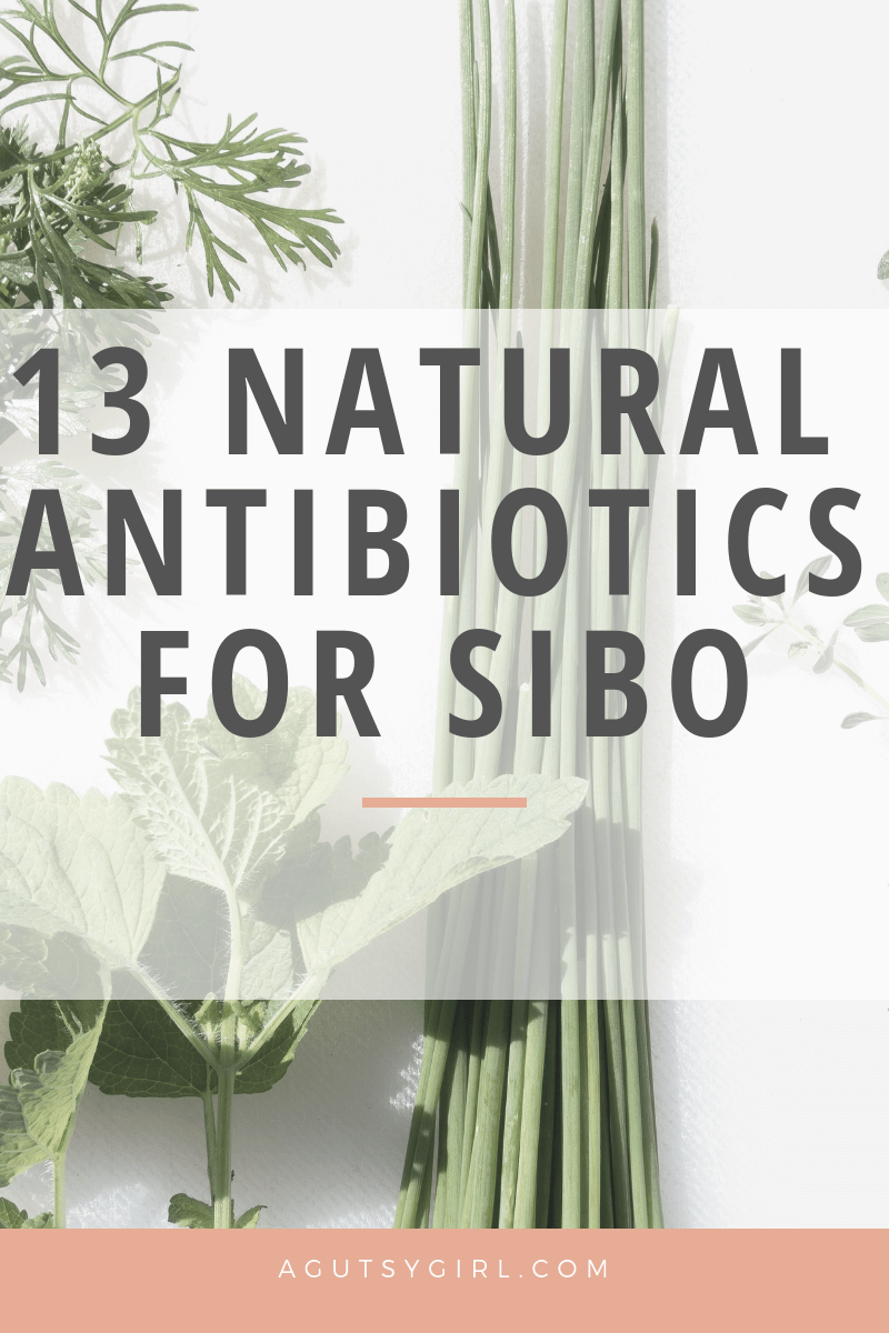 13 Natural Antibiotics for SIBO agutsygirl.com #sibo #herbs #guthealth #guthealing